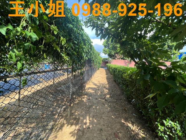 桃園農地-3