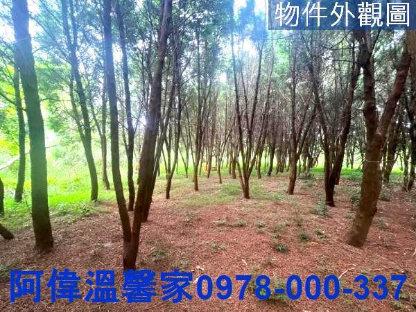 新竹新埔農地_休閒地-1