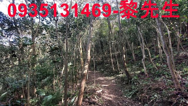 苗栗農地_林地-9