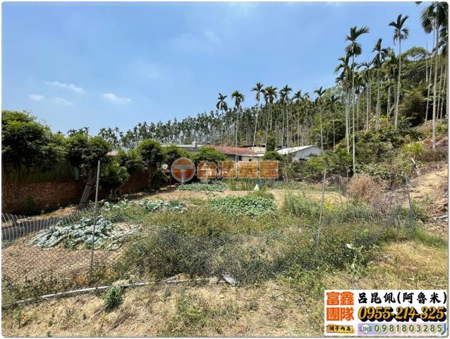 嘉義中埔農地_建地_農建地-3