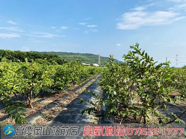 高雄農地-5