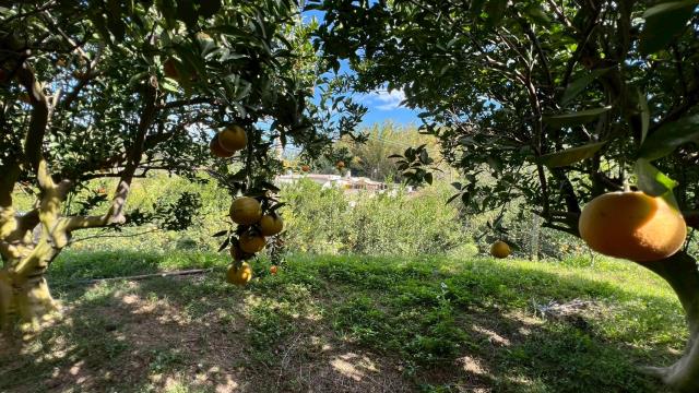 新竹峨眉農地_山坡地-4