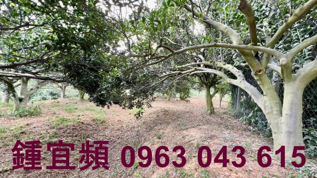 新竹峨眉農地_山坡地-12