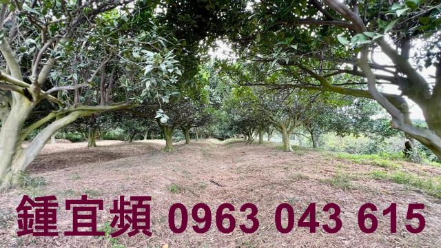 新竹峨眉農地_山坡地-7