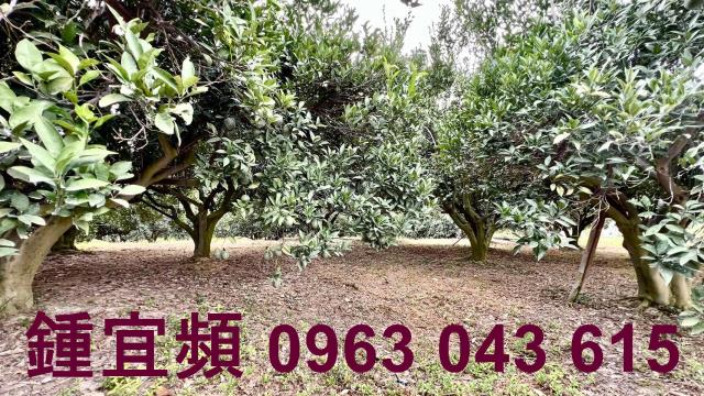 新竹峨眉農地_山坡地-9