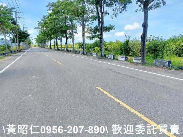 台南佳里農地-9