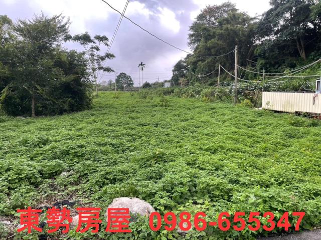 東勢農地-9