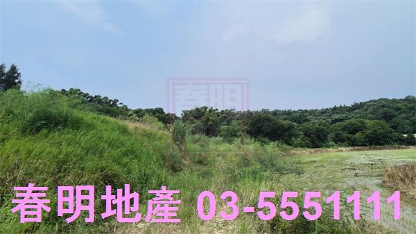 香山農地-3