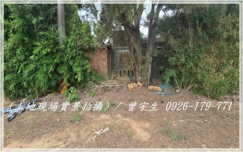 桃園觀音農地-5