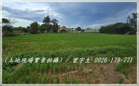 桃園觀音農地-6