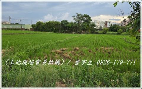 桃園觀音農地-8