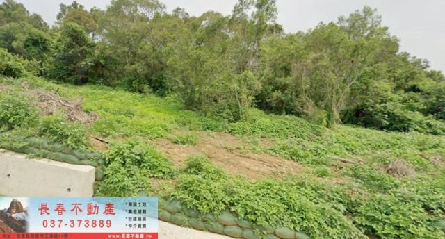 苗栗通霄農地_山坡地_休閒地-1