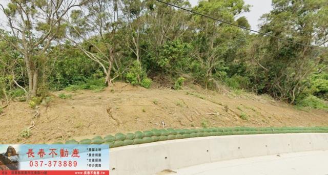苗栗通霄農地_山坡地_休閒地-2