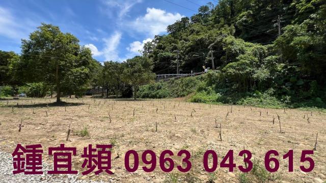 芎林農地_山坡地_林地-8
