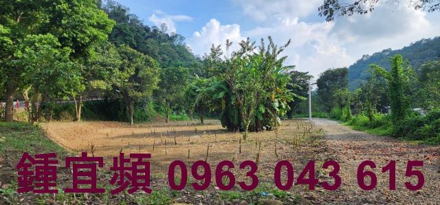芎林農地_山坡地_林地-10