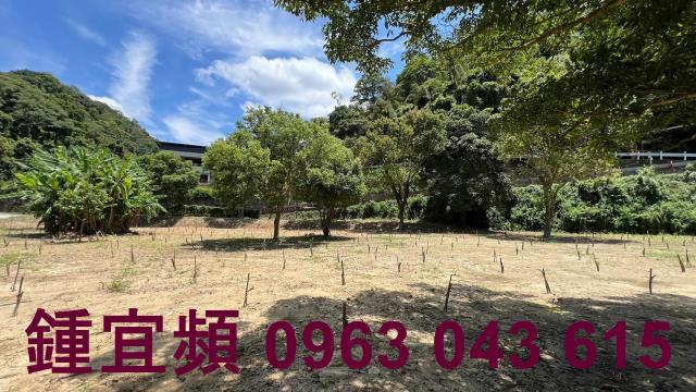 芎林農地_山坡地_林地-1