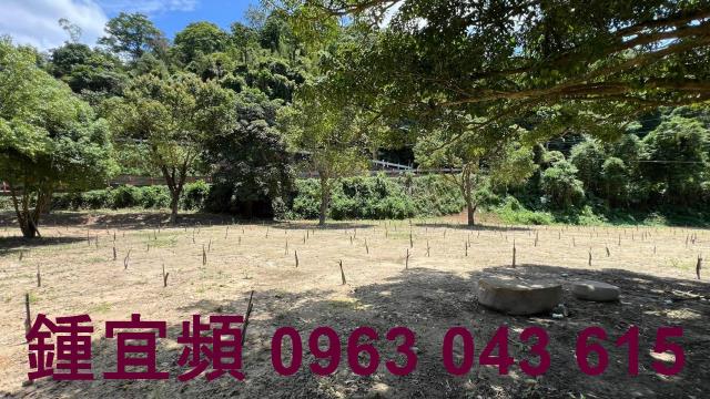 芎林農地_山坡地_林地-3