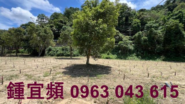 芎林農地_山坡地_林地-4