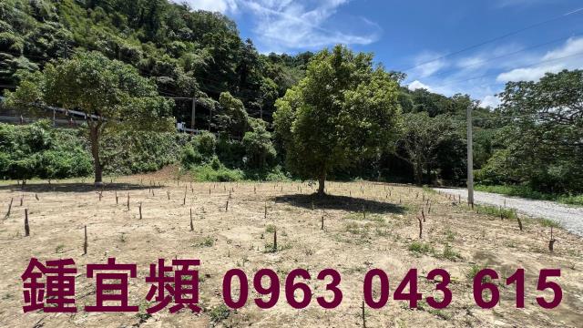 芎林農地_山坡地_林地-5