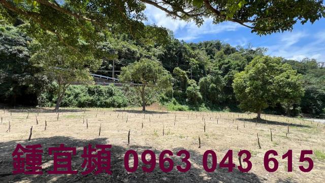 芎林農地_山坡地_林地-6