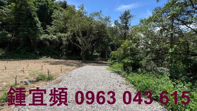 芎林農地_山坡地_林地-7