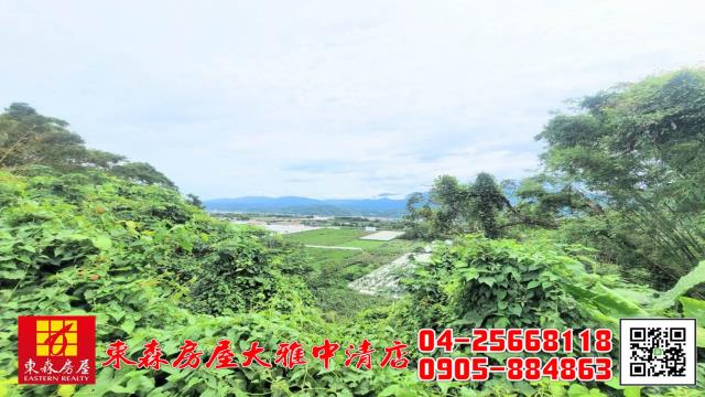 台中新社農地-11