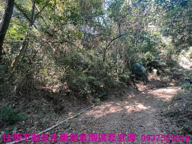左鎮農地-0