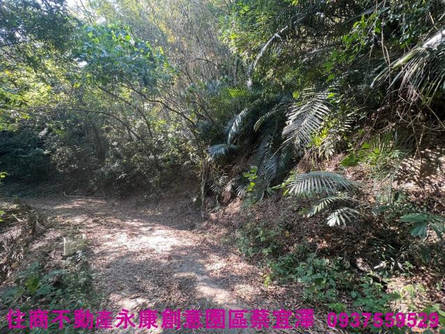左鎮農地-3
