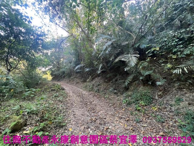 左鎮農地-4