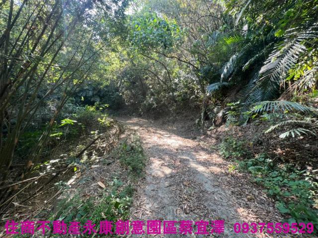 左鎮農地-6