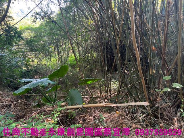 左鎮農地-7