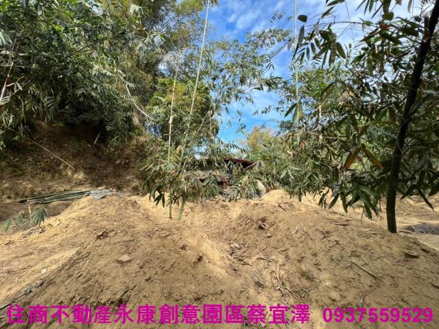 左鎮農地-0