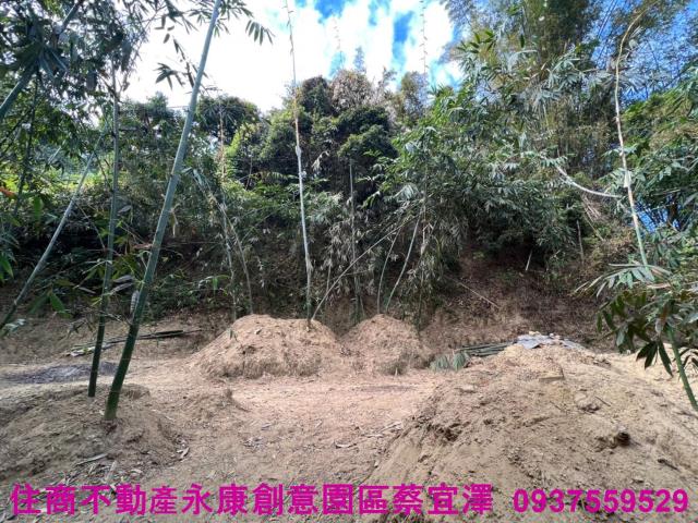 左鎮農地-2