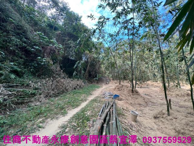 左鎮農地-3