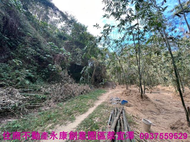 左鎮農地-4