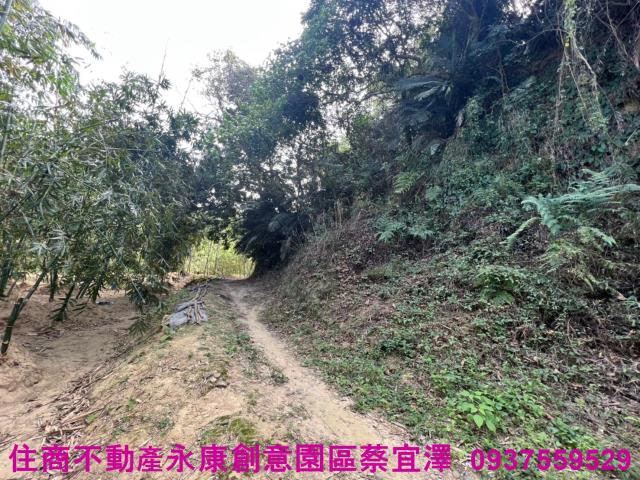左鎮農地-5