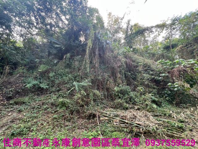 左鎮農地-6