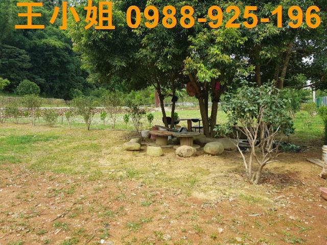 龍潭農地-13