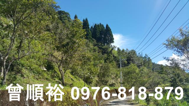 尖石農地-0