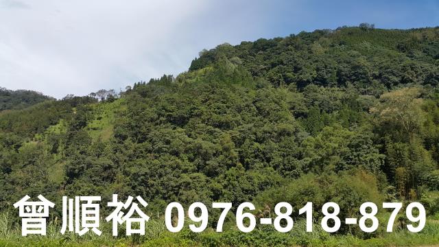 尖石農地-1