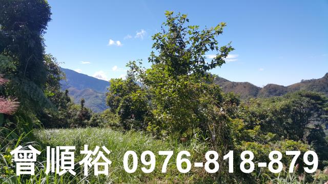 尖石農地-2