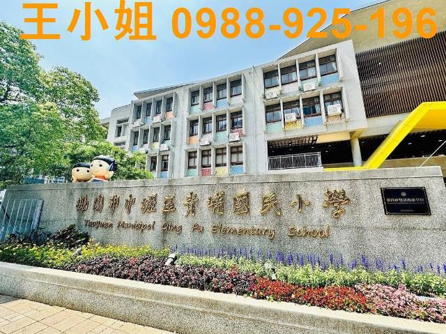 桃園建地-5
