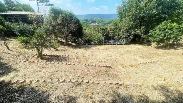 新竹新埔農地_山坡地-4