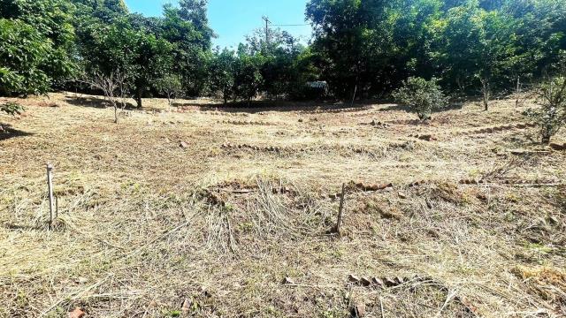 新竹新埔農地_山坡地-6