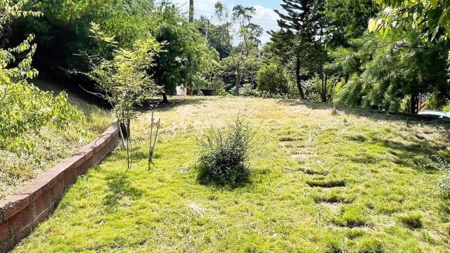 新竹新埔農地_山坡地-7