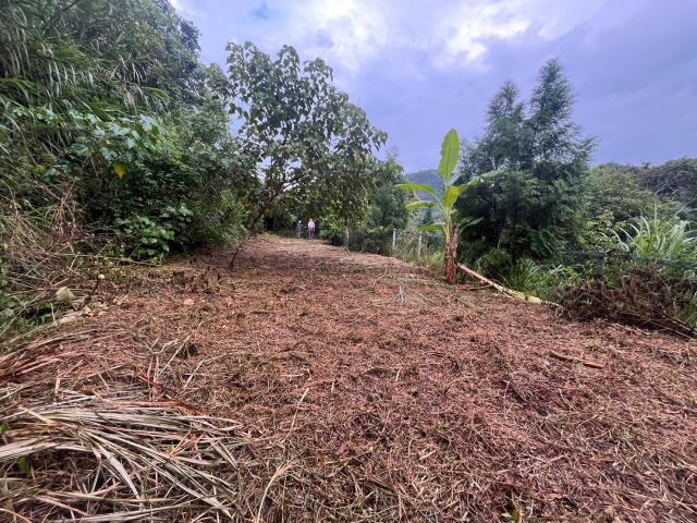 台中太平山坡地-7