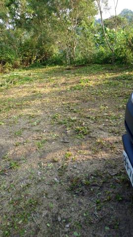 台中太平山坡地-10