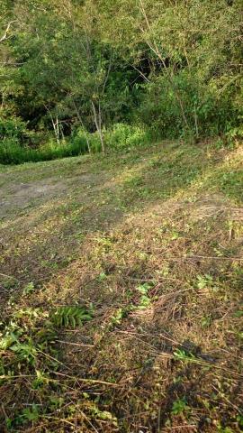 台中太平山坡地-11