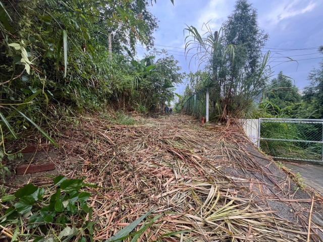 台中太平山坡地-12