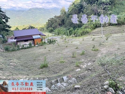 銅鑼農地_山坡地_休閒地-12